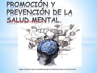 Imagen tomada de: http://curiosidades.batanga.com/4262/mitos-sobre-el-cerebro-humano
Por: Juan Diego Restrepo García.
 