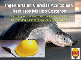 Ingeniería en Ciencias Acuícolas y Recursos Marino Costeros Centro Regional Universitario del Regional Pacifico Universidad Nacional Autónoma de Honduras 