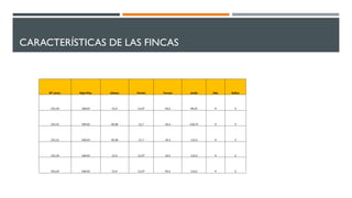 CARACTERÍSTICAS DE LAS FINCAS
M² const. Bajo+Piso Sótano Porche Terraza Jardín Hab. Baños
231,54 169,43 51,4 11,07 24,3 49,25 4 3
231,51 169,43 50,38 11,7 24,3 120,75 4 3
231,51 169,43 50,38 11,7 24,3 113,3 4 3
231,54 169,43 51,4 11,07 24,3 113,3 4 3
231,54 169,43 51,4 11,07 24,3 113,3 4 3
 
