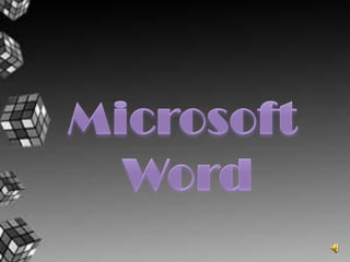 Microsoft Word
