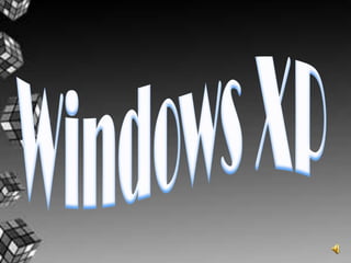 Windows XP