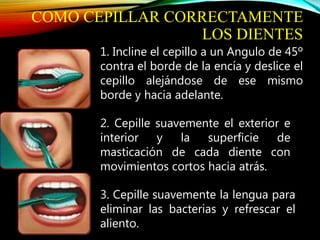 COMO CEPILLAR CORRECTAMENTE
LOS DIENTES
1. Incline el cepillo a un Angulo de 45º
contra el borde de la encía y deslice el
cepillo alejándose de ese mismo
borde y hacia adelante.
2. Cepille suavemente el exterior e
interior y la superficie de
masticación de cada diente con
movimientos cortos hacia atrás.
3. Cepille suavemente la lengua para
eliminar las bacterias y refrescar el
aliento.
 