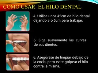 COMO USAR EL HILO DENTAL
4. Utilice unos 45cm de hilo dental,
dejando 3 o 5cm para trabajar.
5. Siga suavemente las curvas
de sus dientes.
6. Asegúrese de limpiar debajo de
la encía, pero evite golpear el hilo
contra la misma.
 