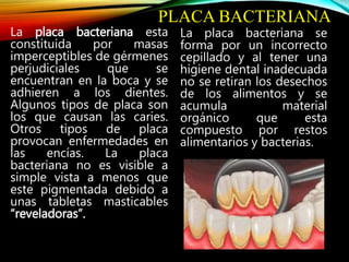 PLACA BACTERIANA
La placa bacteriana esta
constituida por masas
imperceptibles de gérmenes
perjudiciales que se
encuentran en la boca y se
adhieren a los dientes.
Algunos tipos de placa son
los que causan las caries.
Otros tipos de placa
provocan enfermedades en
las encías. La placa
bacteriana no es visible a
simple vista a menos que
este pigmentada debido a
unas tabletas masticables
“reveladoras”.
La placa bacteriana se
forma por un incorrecto
cepillado y al tener una
higiene dental inadecuada
no se retiran los desechos
de los alimentos y se
acumula material
orgánico que esta
compuesto por restos
alimentarios y bacterias.
 