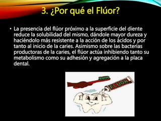 3. ¿Por qué el Flúor?
• La presencia del flúor próximo a la superficie del diente
reduce la solubilidad del mismo, dándole mayor dureza y
haciéndolo más resistente a la acción de los ácidos y por
tanto al inicio de la caries. Asimismo sobre las bacterias
productoras de la caries, el flúor actúa inhibiendo tanto su
metabolismo como su adhesión y agregación a la placa
dental.
 