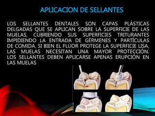 LOS SELLANTES DENTALES SON CAPAS PLÁSTICAS
DELGADAS QUE SE APLICAN SOBRE LA SUPERFICIE DE LAS
MUELAS, CUBRIENDO SUS SUPERFICIES TRITURANTES
IMPIDIENDO LA ENTRADA DE GÉRMENES Y PARTÍCULAS
DE COMIDA. SI BIEN EL FLÚOR PROTEGE LA SUPERFICIE LISA,
LAS MUELAS NECESITAN UNA MAYOR PROTECCIÓN.
LOS SELLANTES DEBEN APLICARSE APENAS ERUPCIÓN EN
LAS MUELAS
APLICACION DE SELLANTES
 