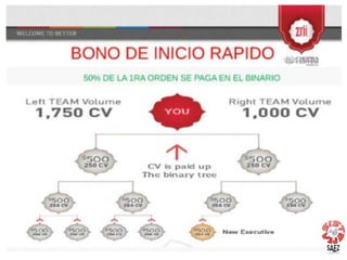 Para una descripción completa de los bonos, recompensas y oportunidades disponsibles, consulte el Plan de Prosperidad Zrii.
Bono Creator de Estrellas
Debes ser Z-100 Calificado y adquirir el EZP (O acumular 500 QV en tus primeros 12 meses)
 