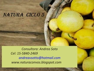Natura  Ciclo 5 Consultora: Andrea Soto Cel: 15-5840-2469  [email_address] www.naturaconvos.blogspot.com 