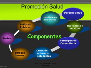 Creación
entornos
saludables
ComponentesRedes
Políticas
Publicas
Habilidades
personales
Reorientación
servicios
Text
Participación
Comunitaria
Promoción Salud
Derecho salud
Enfoque
Genero
Lita Ortiz Fernández 2016
UNMSM
 