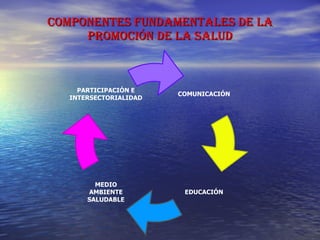 COMPONENTES FUNDAMENTALES DE LA PROMOCIÓN DE LA SALUD COMUNICACIÓN MEDIO AMBIENTE SALUDABLE PARTICIPACIÓN E INTERSECTORIALIDAD EDUCACIÓN 