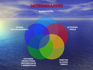 DETERMINANTES ALIMENTACIÓN ACTIVIDAD  FÍSICA HABITOS: ALCOHOL TABACO FACTORES PROTECTORES PSICOSOCIALES Y AMBIENTALES ESTADO SOCIOECONÓMICO 
