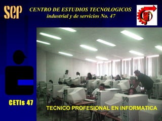 TECNICO PROFESIONAL EN INFORMATICA CETis 47 CENTRO DE ESTUDIOS TECNOLOGICOS industrial y de servicios No. 47 