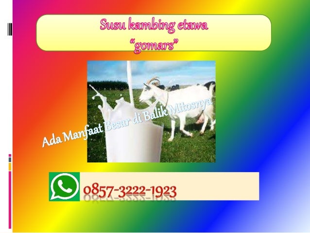 susu kambing untuk anak, HP 0857-3222-1923, susu kambing