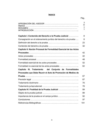 iii
ÍNDICE
Pág.
APROBACIÓN DEL ASESOR ……………………………………………
ÍNDICE ……………………………………………………………………….
RESUMEN …………………………………………………………………
INTRODUCCIÓN …………………………………………………………...
ii
iii
v
1
Capítulo I. Contenido del Derecho a la Prueba Judicial ……………
Consagración en el ordenamiento jurídico del derecho a la prueba ….
Definición del derecho a la prueba ………………………………………..
Contenido del derecho a la prueba ……………………………………….
8
8
23
32
Capítulo II. Noción Procesal de Formalidad Esencial de los Actos
Procesales ………………………………………………………………….
Actos procesales ……………………………………………………………
Formalidad procesal ………………………………………………………..
Formalidad esencial de los actos procesales ……………………………
Formalidad no esencial de los actos procesales ………………………..
42
42
48
52
62
Capítulo III. Tratamiento del Conjunto de Formalidades
Procesales que Debe Reunir el Acto de Promoción de Medios de
Prueba ……………………………………………………………………….
Previsión legal ……………………………………………………………...
Tratamiento doctrinario …………………………………………………….
Tratamiento jurisprudencial ………………………………………………..
67
67
70
78
Capítulo IV. Finalidad de la Prueba Judicial ………………………….
Objeto de la prueba judicial ………………………………………………..
Importancia de la prueba en el campo jurídico ………………………….
89
89
92
Conclusiones ……………………………………………………………….. 97
Referencias Bibliográficas ………………………………………………… 101
 
