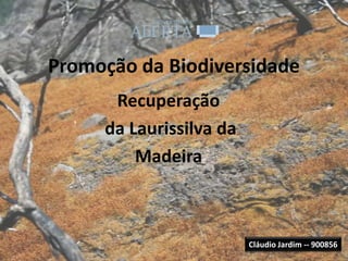 Promoção da Biodiversidade
      Recuperação
     da Laurissilva da
         Madeira



                         Cláudio Jardim -- 900856
 