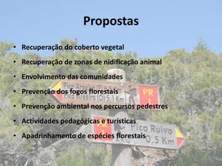 Propostas
• Recuperação do coberto vegetal
• Recuperação de zonas de nidificação animal
• Envolvimento das comunidades
• Prevenção dos fogos florestais
• Prevenção ambiental nos percursos pedestres
• Actividades pedagógicas e turísticas
• Apadrinhamento de espécies florestais
 