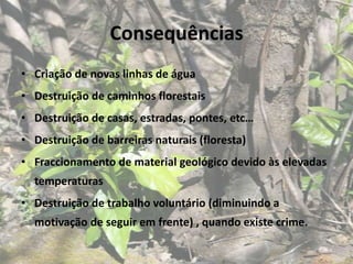 Consequências
• Criação de novas linhas de água
• Destruição de caminhos florestais
• Destruição de casas, estradas, pontes, etc…
• Destruição de barreiras naturais (floresta)
• Fraccionamento de material geológico devido às elevadas
  temperaturas
• Destruição de trabalho voluntário (diminuindo a
  motivação de seguir em frente) , quando existe crime.
 