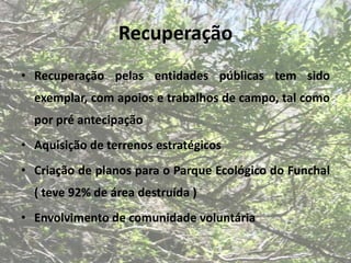 Recuperação
• Recuperação pelas entidades públicas tem sido
  exemplar, com apoios e trabalhos de campo, tal como
  por pré antecipação
• Aquisição de terrenos estratégicos
• Criação de planos para o Parque Ecológico do Funchal
  ( teve 92% de área destruída )
• Envolvimento de comunidade voluntária
 