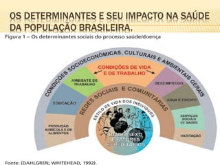 OS DETERMINANTES E SEU IMPACTO NA SAÚDE
DA POPULAÇÃO BRASILEIRA.
 