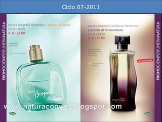 Ciclo 07-2011 