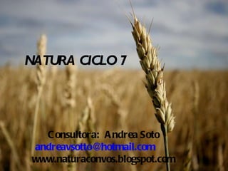 NATURA CICLO 7 Consultora:  Andrea Soto [email_address] www.naturaconvos.blogspot.com 