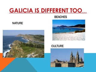 GALICIA IS DIFFERENT TOO…
BEACHES
NATURE
CULTURE
 