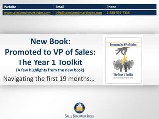 Website                       Email                          Phone
www.salesbenchmarkindex.com   info@salesbenchmarkindex.com   1-888-556-7338




      New Book:
Promoted to VP of Sales:
   The Year 1 Toolkit
          (A few highlights from the new book)

Navigating the first 19 months…
 