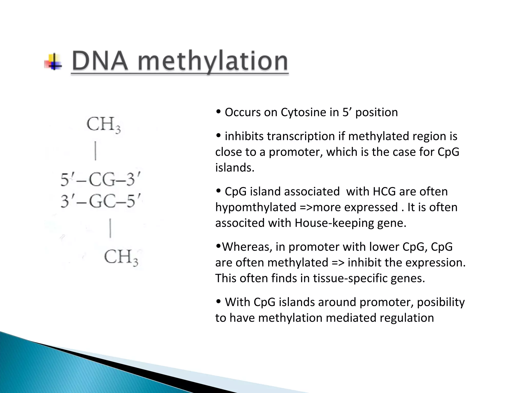 • Occurs on Cytosine in 5’ position 
• inhibits transcription if methylated region is 
close to a promoter, which is the case for CpG 
islands. 
• CpG island associated with HCG are often 
hypomthylated =>more expressed . It is often 
associted with House-keeping gene. 
•Whereas, in promoter with lower CpG, CpG 
are often methylated => inhibit the expression. 
This often finds in tissue-specific genes. 
• With CpG islands around promoter, posibility 
to have methylation mediated regulation 
 
