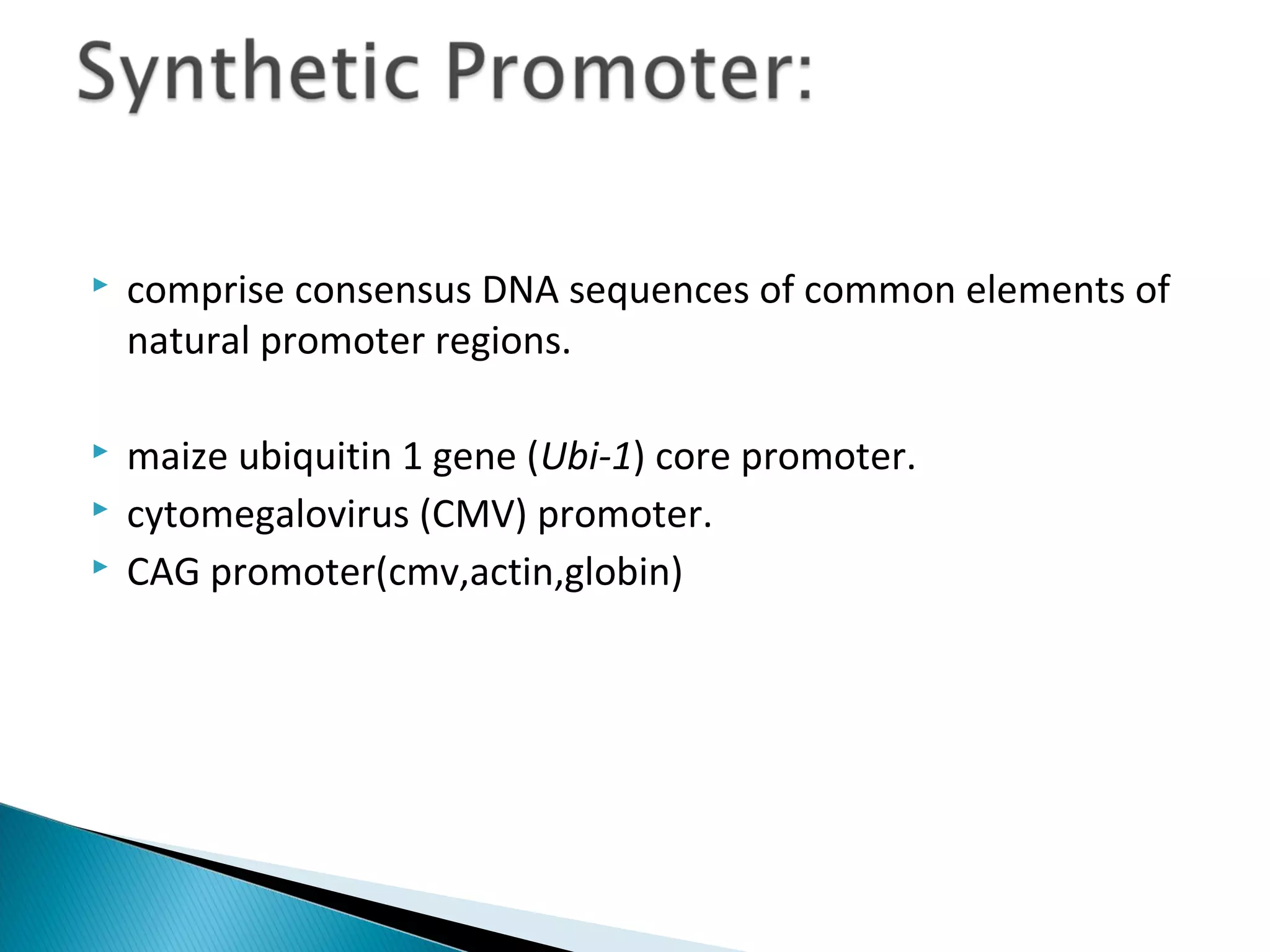  comprise consensus DNA sequences of common elements of 
natural promoter regions. 
 maize ubiquitin 1 gene (Ubi-1) core promoter. 
 cytomegalovirus (CMV) promoter. 
 CAG promoter(cmv,actin,globin) 
 