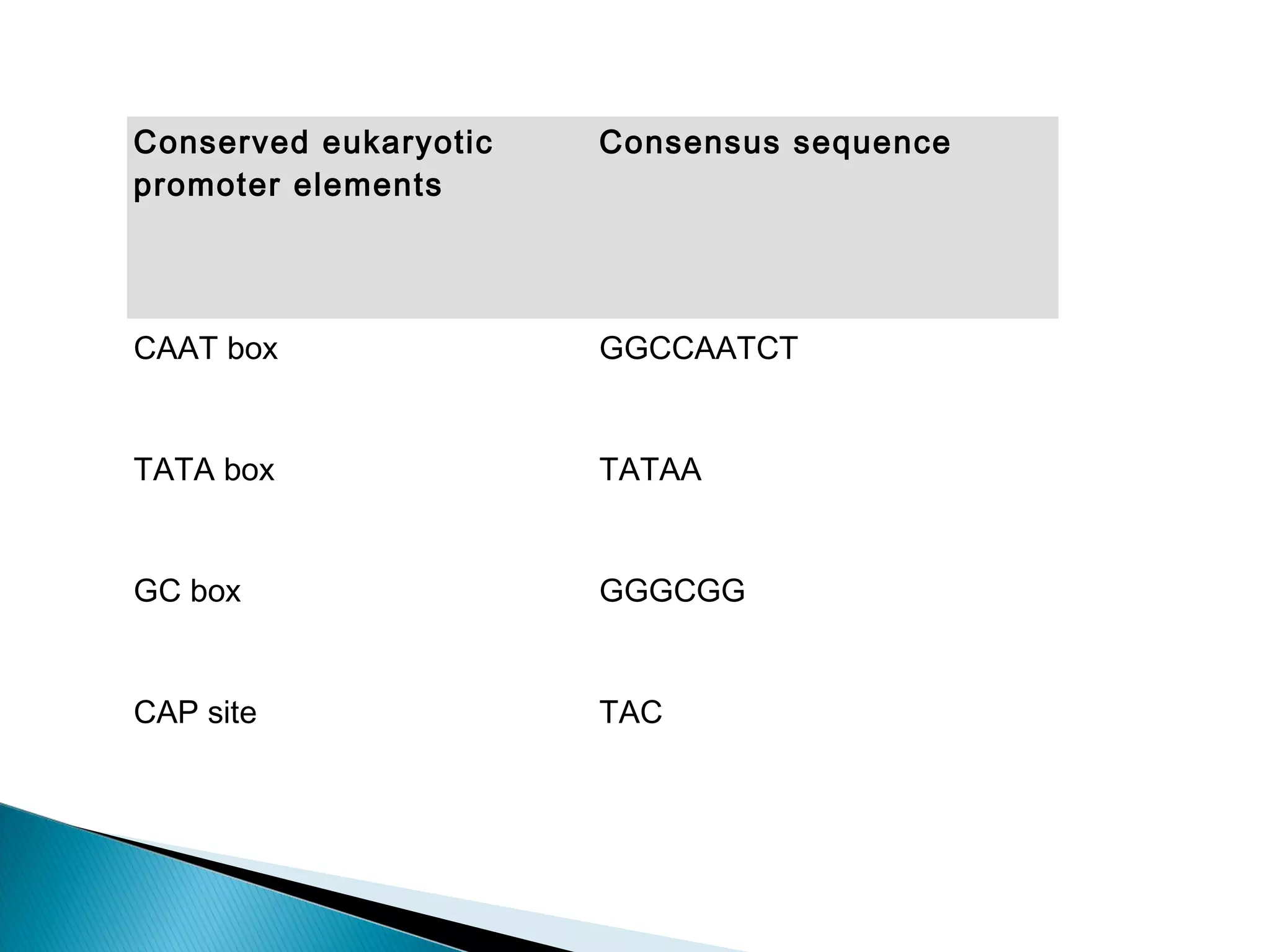 Conserved eukaryotic 
promoter elements 
Consensus sequence 
CAAT box GGCCAATCT 
TATA box TATAA 
GC box GGGCGG 
CAP site TAC 
 