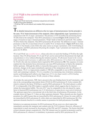 Promoters and enhancers | DOCX