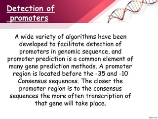 DNA Promoters presentation | PPTX