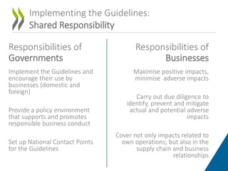 Promoting responsible business conduct: The OECD Guidelines for ...