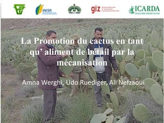 La Promotion du cactus en tant
qu’ aliment de bétail par la
mécanisation
Amna Werghi, Udo Ruediger, Ali Nefzaoui
 