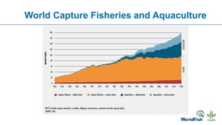 World Capture Fisheries and Aquaculture
 