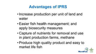 Advantages of IPRS
• Increase production per unit of land and
water
• Easier fish health management; and
apply biosecurity measures
• Capture of nutrients for removal and use
in plant production farms, methane
• Produce high quality product and easy to
market life fish
 