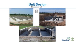 Unit Design
Dimension of cell
25*5
12*3
 