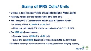 Sizing of IPRS Cells/ Units
• Cell size is based on total volume of the ponds (Length x Width x Depth)
• Raceway Volume to Pond Volume Ratio: 2.0% up to 2.5%
• For 1 acre pond x 1.5 meter water depth = 6000 m3 of water volume
– Raceway volume = 150 m3 is a 2.5% ratio
– Either one cell 150 m3 (5*1.5*20) or two cells each 75m3 (3*1.5*16.7)
§ For 8,000 m3 of pond volume:
– Raceway volume = 200 m3 is a 2.5% ratio
§ Either one cell 200 m3 (5x2x20m) or two cells each 100 m3 (3*2*16.67)
üBuild two raceways minimum to avoid reaching maximum carrying capacity
 