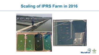 Scaling of IPRS Farm in 2016
 