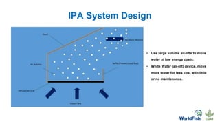 IPA System Design
• Use large volume air-lifts to move
water at low energy costs.
• White Water (air-lift) device, move
more water for less cost with little
or no maintenance.
 