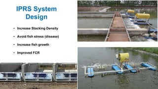 IPRS System
Design
• Increase Stocking Density
• Avoid fish stress (disease)
• Increase fish growth
• Improved FCR
 