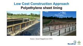 Low Cost Construction Approach
Polyethylene sheet lining
Source : Jessie Chappell et al. 2016.
 
