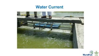 Water Current
43
 
