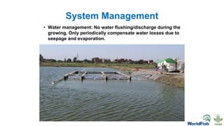 System Management
• Water management: No water flushing/discharge during the
growing, Only periodically compensate water losses due to
seepage and evaporation.
 