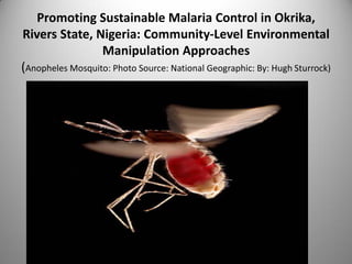 Promoting Sustainable Malaria Control in Okrika,
Rivers State, Nigeria: Community-Level Environmental
Manipulation Approaches
(Anopheles Mosquito: Photo Source: National Geographic: By: Hugh Sturrock)
 