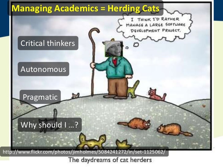 Promoting Excellence Network - Graduate Attributes at ...