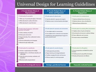 Universal Design for Learning Guidelines
 