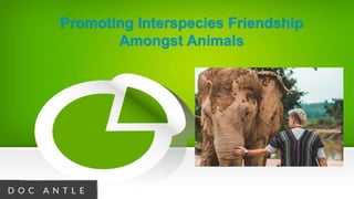 Promoting Interspecies Friendship
Amongst Animals
 
