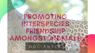 PROMOTING
INTERSPECIES
FRIENDSHIP
AMONGST ANIMALS
 