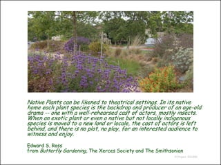 Native Plants can be likened to theatrical settings. In its native
home each plant species is the backdrop and producer of an age-old
drama -- one with a well-rehearsed cast of actors, mostly insects.
When an exotic plant or even a native but not locally indigenous
species is moved to a new land or locale, the cast of actors is left
behind, and there is no plot, no play, for an interested audience to
witness and enjoy.
Edward S. Ross
from Butterfly Gardening, The Xerces Society and The Smithsonian
                                                            © Project SOUND
 